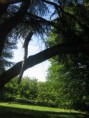/album/galleria-foto-homepage/img-0619-jpg/