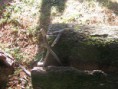 /album/galleria-foto-homepage/img-0621-jpg1/