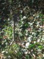 /album/galleria-foto-homepage/img-0617-jpg1/